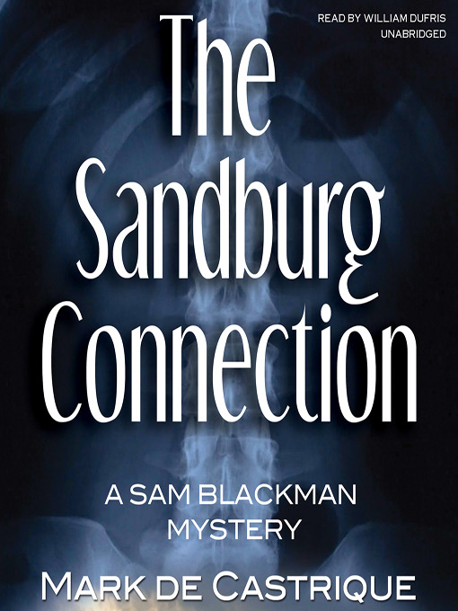 Title details for The Sandburg Connection by Mark de Castrique - Wait list